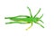 Green plastic (rubber) grasshopper toy for bath, mockup (mock-up, model)