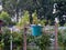 Green plastic washbasin in the village