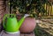 A green plastic watering can in front of a pot plant.