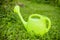 Green plastic watering can isolated on green grass.A gardener waters the plants from a watering can. Watering plants