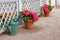 Green plastic watering can and pink hydrangeas in the pots