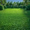Green playground or sports field with fresh, vibrant grass, 3D
