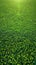 Green playground or sports field with fresh, vibrant grass, 3D