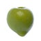 Green Plum Macro Isolated