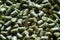 Green polymer dye in granules, background texture