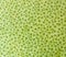 Green pomelo texture