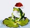 Green pond frog wearing a Christmas hat and sitting on water lily leaf