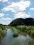 The green pond is surrounded by green grass