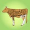 Green pop art background. The cow for the restaurant is divided into parts, pieces of bull beef carcass, scheme. Vector