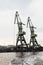 Green port cranes, close-up vertical photo