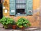 Green Pot Plants Outside Old Stucco Cafe, Greece