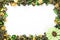 Green Potpourri border with copy space