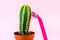 Green prickly cactus with pink disposable woman razor on light pastel background. Hair removing, epilation procedure and shaving