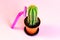 Green prickly cactus with pink disposable woman razor on light pastel background. Hair removing, epilation procedure and shaving