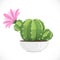 Green prickly cactus with a pink flower in white ceramic bowl