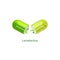 Green probiotic capsule with lactobacillus bacteria split open in the middle