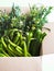 Green produce in cardboard box