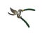 Green pruning shears, garden secateurs or hand pruners are garden tools used in gardening for cutting tree branches and