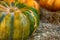 Green pumpkin stands in the hay on a blurred background of orange vegetables flora background