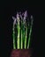 Green purple asparagus. Raw asparagus. Gourmet concept.