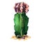 Green, purple cactus species isolated, watercolor illustration on white
