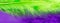 Green and purple feather background, close up