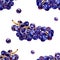 Green, purple, tasty, healthy grapes. Southern, ripe, fresh, wine berry. A bunch of delicious, juicy grapes. Decorative