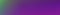 Green purple violet fluid gradient background