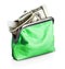 Green purse with hundred dollar banknote