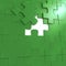 Green puzzle