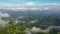 Green rainforest and jungle in the mountains of Sri Lanka view from above.