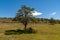 Green ranch land at Posada Estancia Rio Verde, Riesco Island,, Chile