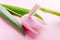 Green razor with beautiful pink tulip on a pink background. Hair removal concept.