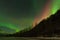 Green and Red Aurora Over Mountains and Trees