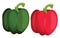 Green and red bellpepper vector illustration of vegetables