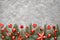 Green and red Cristmas background with fir twigs, hearts and Christmas trinkets on concrete stone , text space