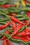 green and red hot organic chili