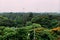 Green and red leaf trees in the park from above with Vidyasagar Setu, also known as the Second Hooghly Bridge in the background.