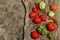 Green and red ribbed tomatoes on a vintage wooden stand. American or Florentine variety