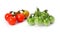 Green and red tomatoes vegetables isolated