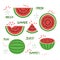 Green and red whole and sliced juicy summer watermelon icons set