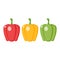 Green, red and yellow bell peppers. Bell pepper clipart vector illustration.