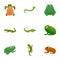 Green reptile icon set, cartoon style