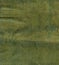 Green reptile leather texture