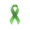 Green ribbon isolated on white.