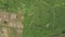 Green rice field aerial landscape. Drone view growing rice plantation on terrace in Bali, Indonesia. Agricultural and