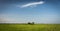 Green rice field with blue sky and clouds