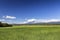 Green rice field and Ebulobo