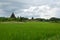 A green rice field in front of ancient pagodas on hills in Mrauk U, Myanmar