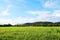 Green rice field, mountain, blue sky, cloud